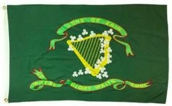 Front Page 29 10th Tennessee Infantry “Sons Of Erin” Flag 3×5 2-Ply Polyester