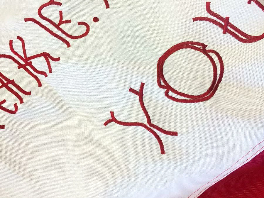 10th Texas Cavalry Battle Flag 3×5 2-Ply Polyester 5 10th Texas Cavalry Battle Flag 3×5 2-Ply Polyester - Image 3