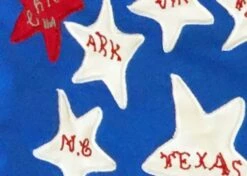 Front Page -Flag Sales 2024 10th texas cavalry battle flag 3x5 sewn cotton detail 2