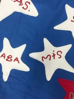 Front Page 39 10th Texas Cavalry Battle Flag Original Size Sewn Cotton