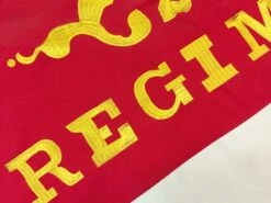 20th Regiment Texas Volunteers Flag 3×5 Sewn Cotton -Flag Sales 2024 20th regiment texas volunteers flag 3x5 sewn cotton detail 2