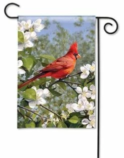Cardinal In Blossoms Garden Flag