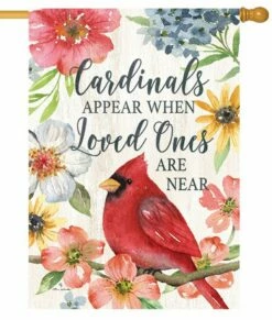 Cardinals Appear House Flag