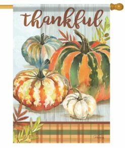 Colorful Pumpkins With Plaid House Flag