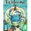 Crabby Pumpkin House Flag -Flag Sales 2024 crabby pumpkin house flag