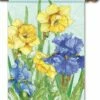 Daffodils And Irises House Flag