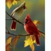 Fall Cardinal Couple House Flag