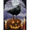 Fright Night House Flag -Flag Sales 2024 fright night house flag