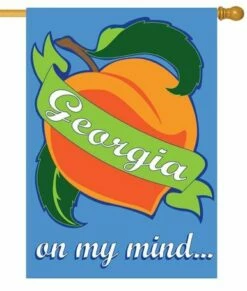 Georgia On My Mind Double Applique House Flag