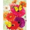 Gerberas And Butterflies House Flag 1 Gerberas And Butterflies House Flag -Flag Sales 2024 gerberas and butterflies house flag