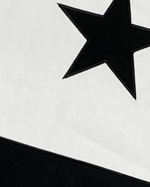 Gonzales Come And Take It Flags β Sewn Cotton 5 Gonzales Come And Take It Flags β Sewn Cotton - Image 3