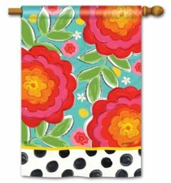 Happy Go Lucky House Flag