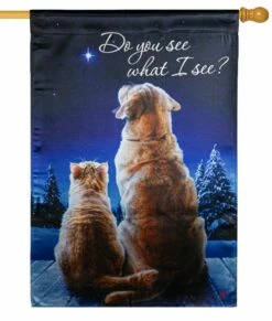 Lustre Do You See What I See House Flag