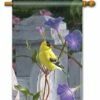 Morning Glory Finch House Flag