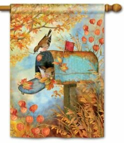 Old Rusty Mailbox House Flag