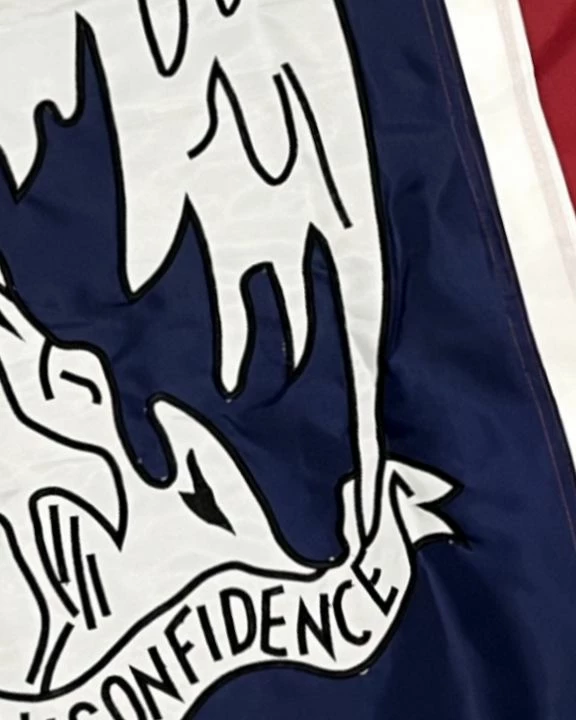 Rebel Louisiana Battle Flag 3×5 Sewn Nylon 4 Rebel Louisiana Battle Flag 3×5 Sewn Nylon - Image 2