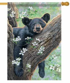 Spring Dreams Bear House Flag