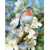 Stunning Bluebird House Flag 2 Stunning Bluebird House Flag -Flag Sales 2024 stunning bluebird house flag