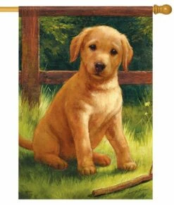 Wanna Play House Flag