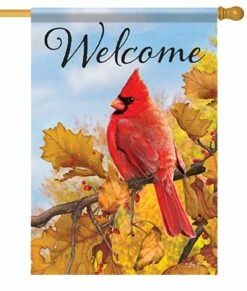 Welcome Fall Cardinal House Flag