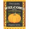 Welcome Pumpkin Double Applique House Flag -Flag Sales 2024 welcome pumpkin double applique house flag