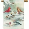 Winter Bird Feeding House Flag -Flag Sales 2024 winter bird feeding house flag
