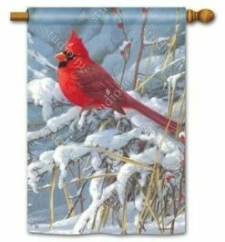 Winter Cardinal House Flag